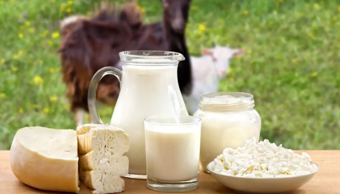 Ragam Manfaat Susu Kambing Untuk Kesehatan Tubuh Manusia
